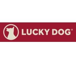 lucky-dog